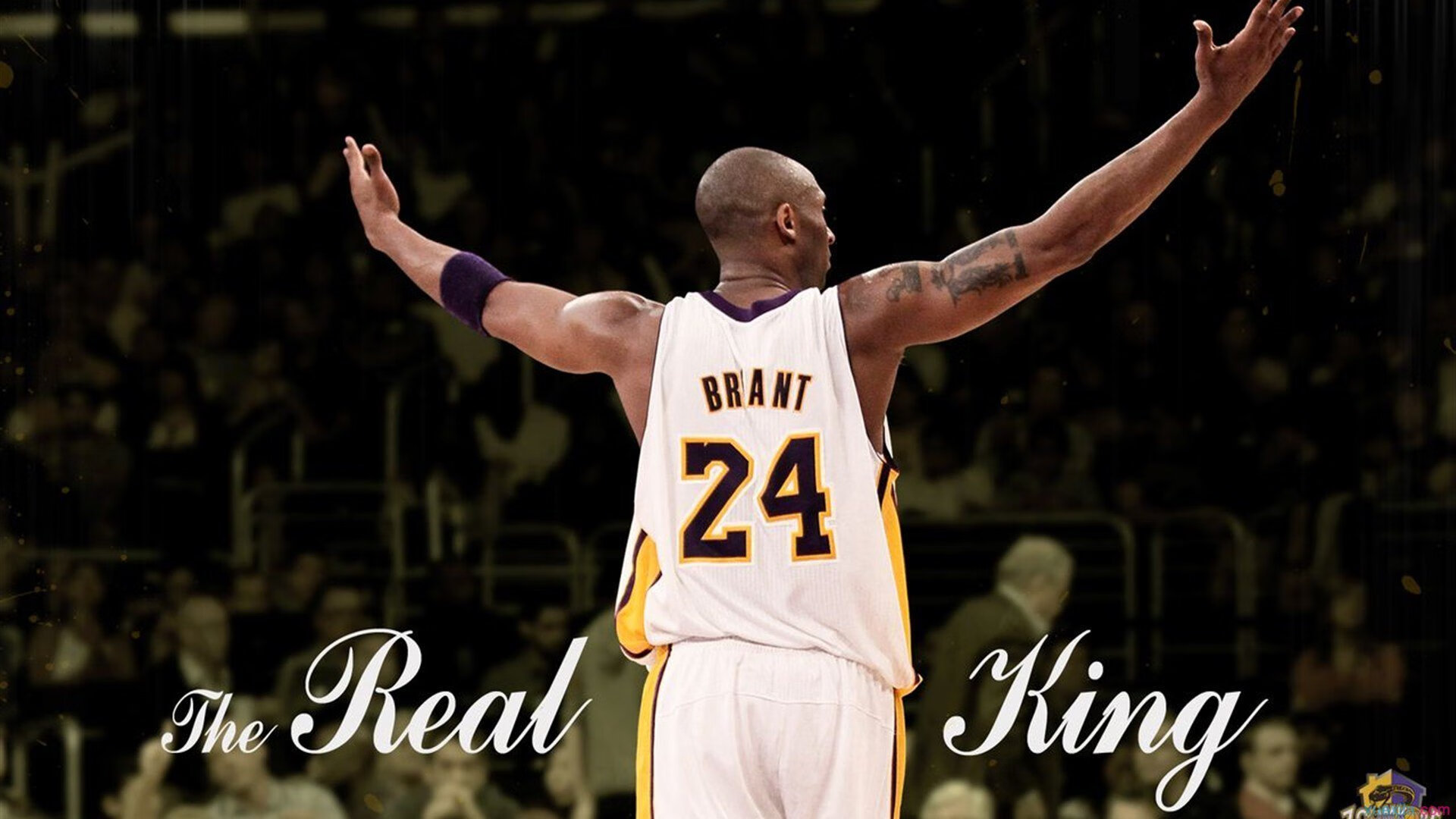 _未来体育智能场馆：科技赋能全民健身_，未来体育馆概念设计