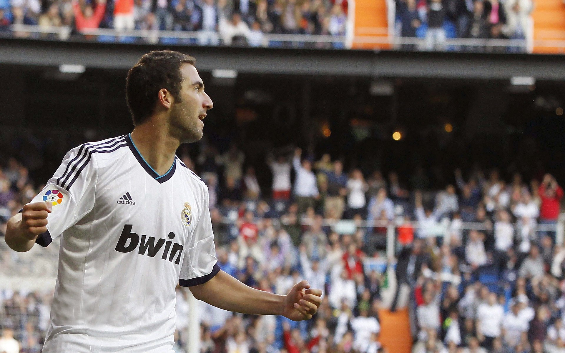 _极地探险骑行：在冰雪世界中追逐自由_，极地探险介绍